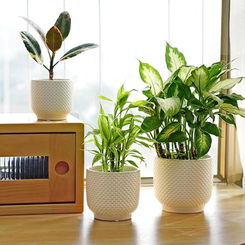 4 + 5 + 6 Inch Ceramic Pots for Indoor Plants, Succulents Plant Pots, Orchid Flower Pot with Drainage Hole, Modern Clay Stoneware Planters, Set of 3 (Milk White, 4+5+6 Inch) - color: Milk White