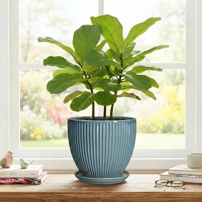 Ceramic Planter, 8 Inch Plant Pot Indoor with Saucer, Glaze Blue - color: Glaze Blue, size: 8 Inch