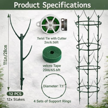 Plant Trellis Kit for Monstera Climbing Plant Support System Indoor