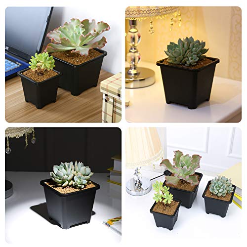 4 Inch Plastic Plant Pots Square Nursery Pot 25 PCS Sturdy & Reusable Starter Container for Starting Seedlings, Succulents,Cuttings & Transplanting with Drainage Holes, Black - size: 4 Inch