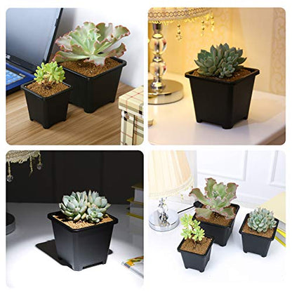 4 Inch Plastic Plant Pots Square Nursery Pot 25 PCS Sturdy & Reusable Starter Container for Starting Seedlings, Succulents,Cuttings & Transplanting with Drainage Holes, Black - size: 4 Inch