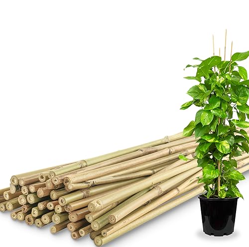 50Pcs / 4ft Bamboo Plant Stakes for Indoor Outdoor Plants, Garden Plant Support Sticks, Poles for Tomato Vegetables Beans Trees Potted Climbing Plants(0.32''-0.4'') - size: 4 FT 50PCS