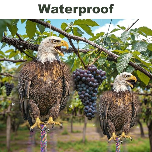 Fake Eagle to Keep Pigeon Woodpecker Away, 2 Pack Flat Cardboard Fake Eagle with Reflective Tape to Scare Animals Away for Outdoor Garden Balcony Window Patio Backyard - color: 2pcs-eagle