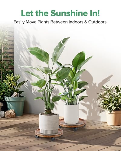 2 Pack Plant Caddy with Wheels, 14" Wood Rolling Plant Stand with 360° Lockable Wheels, Plant Stands Outdoor for Large Plants, Flower Cart Plant Dolly Plant Caster for Heavy Objects, Walnut - color: 14inch-Walnut