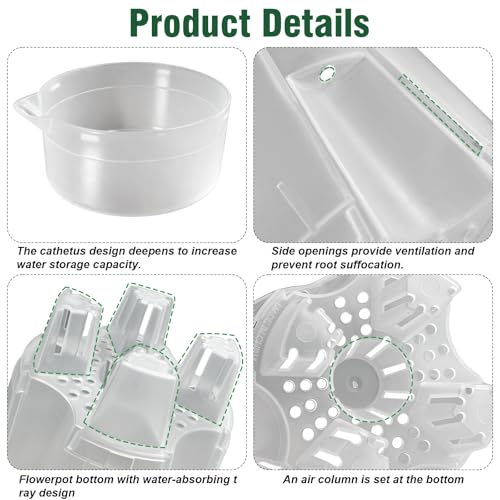 Cdd's Path Upgraded 5-Pack 6 Inch Naked Root Planter Self Watering Pots Set, Plant Pots with Holes for Indoor/Outdoor Plants with Watering Hole/Reservoir and Air Pipes, Clear - size: 5 Pack-6 inch(Upgraded )