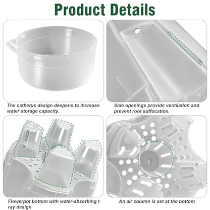 Cdd's Path Upgraded 5-Pack 6 Inch Naked Root Planter Self Watering Pots Set, Plant Pots with Holes for Indoor/Outdoor Plants with Watering Hole/Reservoir and Air Pipes, Clear - size: 5 Pack-6 inch(Upgraded )