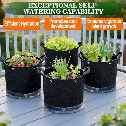 5 Pack 5 Gallon Self-Watering Grow Bags with Reservoir and Support Rings - size: 5 Gallon