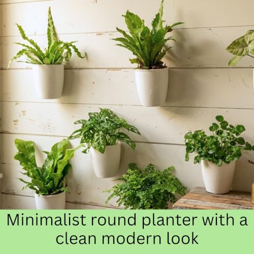 LaLaGreen Wall Planter for Indoor Plants (5in, 10 Pack) White Self-Watering - size: 5" (12.5 cm)