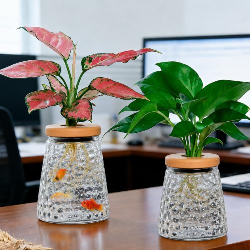 Desktop Plant Hydroponic Vases, Water Plant Jars, Gardening Gifts for Office and Home, Outdoor, Transparent Ripple Pattern - color: Transparent Ripple Pattern