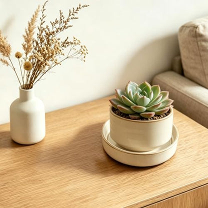 Plant Saucers, 4-Pack 4.5 Inch Ceramic Plant Saucers, Glazed Plant Pot Saucers, Drainage Drip Water Tray, Plant Trays to Catch Water for Indoors Outdoors Succulents Small Potted Plants (White) - color: White