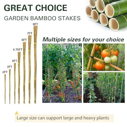 50pcs Bamboo Stakes 6ft, 6FT Garden Stakes Multi-Purpose, 5/8" Dia Plant Stakes for Tomatoes, Beans, Cucumbers, Peppers, Potted Trees, Maintain the Plant Posture, Strengthen and Stem - size: 6FT, 50 of pack