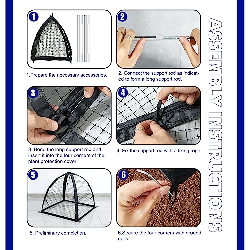 Strawberry Plant Protector,22 x22 x 22 Inch Cloche Dome for Plants