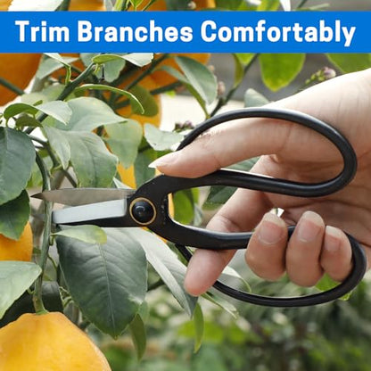VISEMAN Japanese Bonsai Pruning Scissors, KinTakashi Gardening Shears