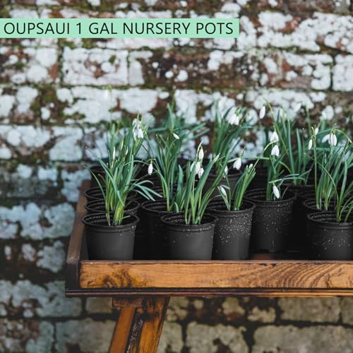 OUPSAUI 1 Gallon Pots for Plants,Flexible Gallon Plastic Nursery Pots with Drainage Holes, Plastic Pots for Outdoor Plants (1Gal-20pcs) - size: 1Gal-20pcs