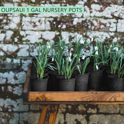 OUPSAUI 1 Gallon Pots for Plants,Flexible Gallon Plastic Nursery Pots with Drainage Holes, Plastic Pots for Outdoor Plants (1Gal-20pcs) - size: 1Gal-20pcs