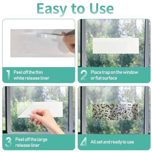 60 Pcs Window Fly Traps for Indoor/Outdoor, Insect, Bugs, Fly & Fruit Fly Glue Sticky Adhesive Insect Killer - Easy to Use, Waterproof, Disposable, Non-Toxic, and Odorless, Economic Pack