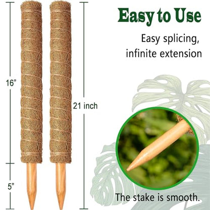 2 Pack 21 Inch Moss Poles, Stackable Moss Pole for Plants Monstera, 37 Inch Tall Moss Poles for Climbing Plants Indoor, Coir Totem Plant Support Stakes Stand for Potted Plants, Pothos - size: 2 pack 21in