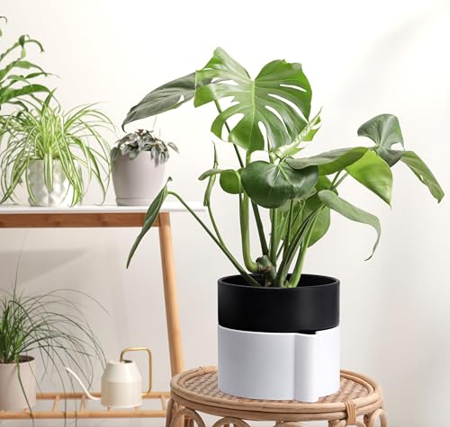 8 Inch Self-Watering Planter Pot with Terracotta Insert, Deep Water Reservoir, and Ceramic-Alike BPA-Free Plastic Planter Pot for Plant, Modern Planter for Houseplants, White/Black, 53-B-T-4 - color: White/Black, size: 8 Inch