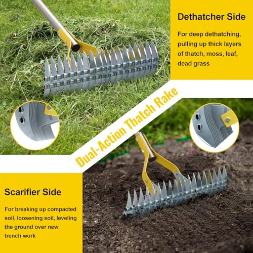 Thatch Rake, 2 in 1 Stainless Steel Garden Rake for Thatch Leaves,55” Heavy Duty 19 Tines Lawn Manual Dethatcher with Adjustable Head,Thatching Rakes for Lawn Yard Grass,Debris Removal, Soil Loosen - style: 55"