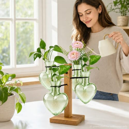 Plant Terrarium Propagation Station with 4 Heart Glass Vases - Green - color: Green