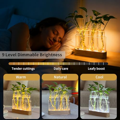 Plant Propagation Station with LED Grow Light, Wooden Stand & 4 Glass Tubes