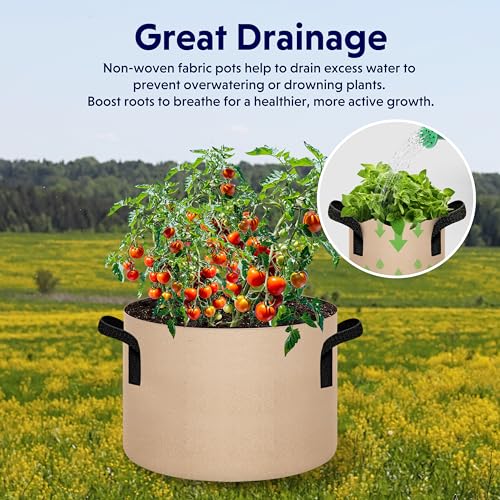 iPower 10-Pack 20 Gallon Thickened Grow Bags Nonwoven Fabric Pots Aeration Container with Strap Handles for Garden and Planting, Tan - color: 10-pack Tan, size: 20 Gallon Thickened