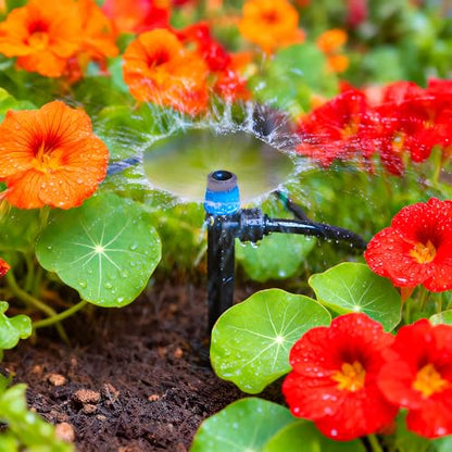 30 Pieces Quick Connect Drip Irrigation Emitters Vortex for 1/4" Tubing, Adjustable 360 Degree Water Flow Irrigation Fan Shape Spray Emitter On 5" Stake for Garden Watering System - color: Blue Quick Connect Emitter-30P
