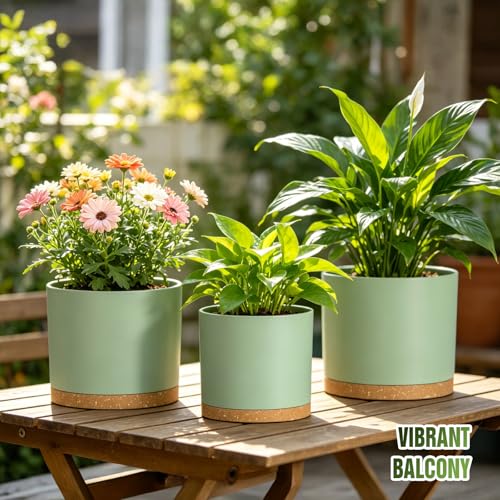 10/9/8 Inch Plant Pots 3 Pack, with Drainage Hole & Saucers - color: Matte Green&brown