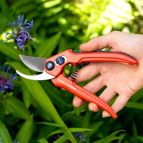 Spear & Jackson CUTTINGSET3 Razorsharp Adjustable Width Pruner and Glove Set, Steel - style: Adjustable Width Secateur & Gloves Set