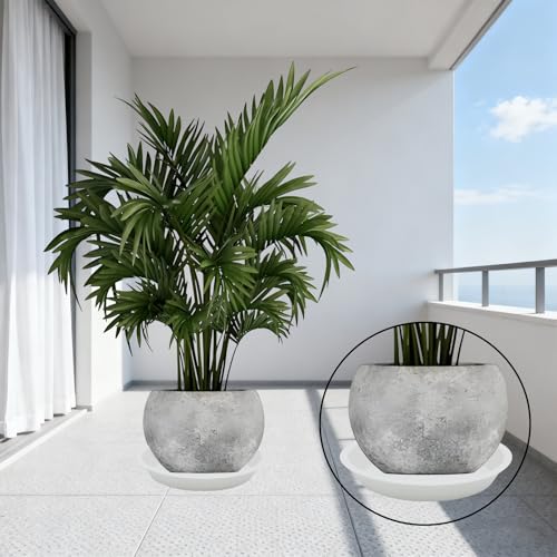 6 Pack 12 Inch White Plant Saucers Plastic Drip Trays for Pots - color: White, size: 12 Inch