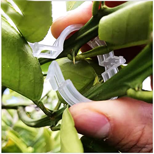 120 Pack Tomato Clips for Climbing Plants Garden Support Plant Trellis