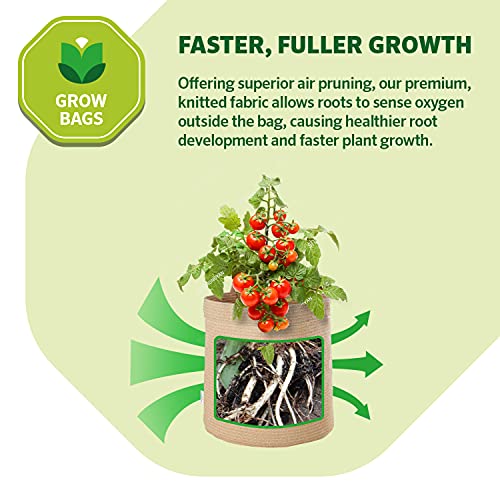 Coolaroo 4-Pack 10 Gallon Heavy Duty Plant Tomato Potato and Other Vegetables and Fruits Breathable Fabric Grow Planter Pot Bag with Handles, Desert Sand - color: Desert Sand, size: 4 Pack, style: 10 Gallon