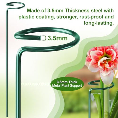Fabulas 24 Pack Plant Support Stakes, 16 Inch Metal Garden Plant Stakes Single Stem Support Rings for Indoor Outdoor Amaryllis, Flowers Orchid, Lily, Peony, Rose, Tomato, Monstera, Narcissus