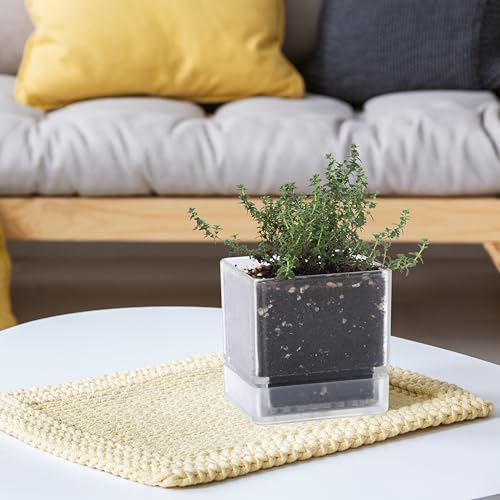 D'vine Dev 4-Pack Acrylic Herb Planter Pots, 4 in, Clear, 76-Y-D-1 - color: Clear, size: 16 Inch x 4.5 Inch