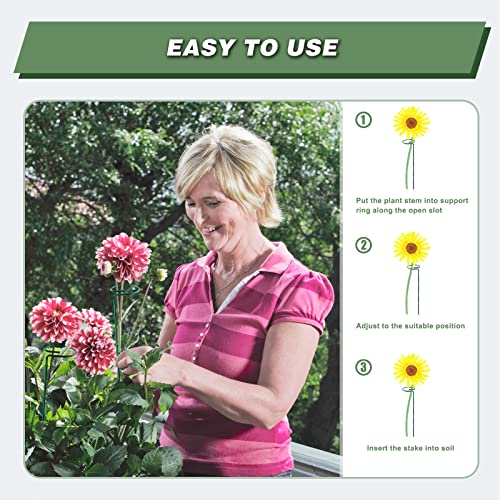 20 Pack 24 Inch Plant Support Stakes for Outdoor Plants and Indoor Flowers - size: 24 inch