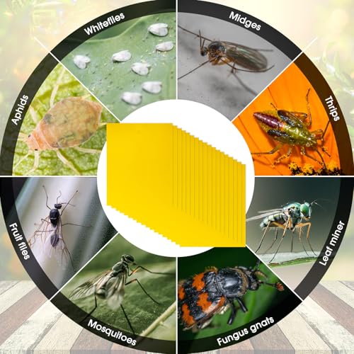 Qualirey 220 Pcs 7.87 x 9.84 Inch Yellow Sticky Traps for Plant Gnats Dual Sided Fruit Fly Sticky Traps for Indoor Outdoor with Twist Ties & Plastic Holders for Insect, Fungus Gnat, Whiteflies, Aphids - size: 7.87 x 9.84 Inches