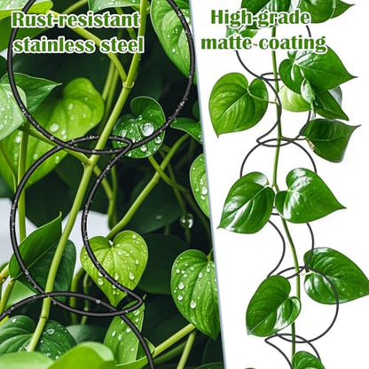 Vodolo 18 Pcs Chain Trellis for Climbing Plants Indoor Outdoor,Wall Plant Vine Climbing Support for Potted Plants,Houseplant Accessorie for Climbing Plants Pertains to Monstera,Pothos,Ivy,Wisteria