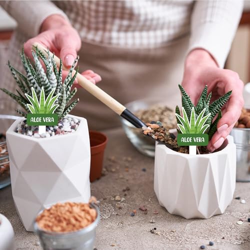 20 Pcs Acrylic Plant Labels Vegetables Design Waterproof Marker