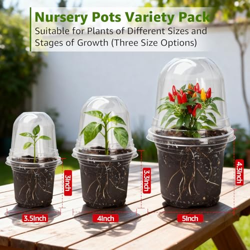MIXC Clear Nursery Pots with Humidity Domes, 5/4/3.5 Inch 30 Pack - color: Transparent, size: 3.5/4/5 Inch-with Lid