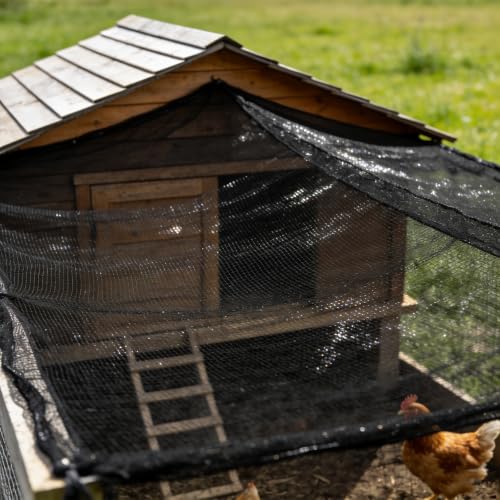 1" Square Mesh Bird Netting, Black Nylon Anti Bird Netting(98.43×49.21ft) - size: 98.43×49.21ft