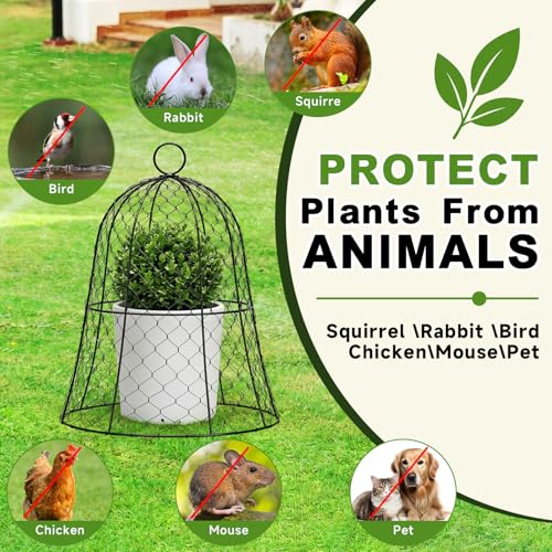 Sadnyy 12 Pack Garden Chicken Wire Cloche, 13" W x 15.7" H Plant Protectors and Covers Wire Garden Cloches from Animals Metal Cage Plant Protection Strong and Not Easy to Deform No Assembly Required - size: 13" D X 15.7" H, style: Classic Style