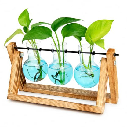 XXXFLOWER Plant Terrarium Kit with Wooden Stand 3 Gradient Blue Bulb Vases - color: Blue