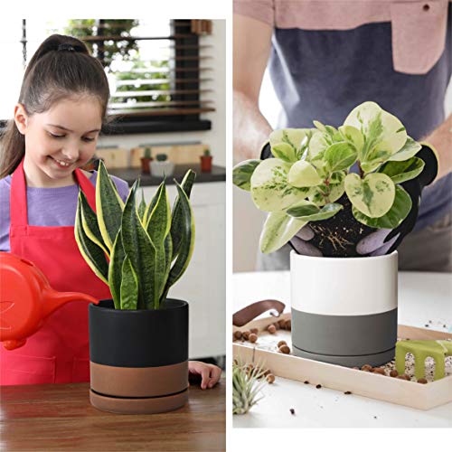 D'vine Dev Set of 2 Plants Pots, 6 Inch Ceramic Planter Pot for Plants with Drainage Hole and Saucer, White-Grey/Black-Tan, 94-V-C-C - color: White Grey/Black Tan, size: 6 Inch