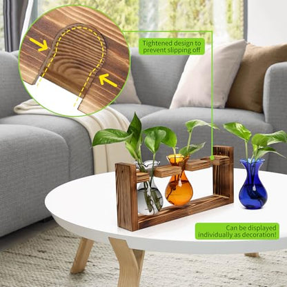 Plant Propagation Station Plant Terrarium Unique Birthday Gifts for Women - color: Color03