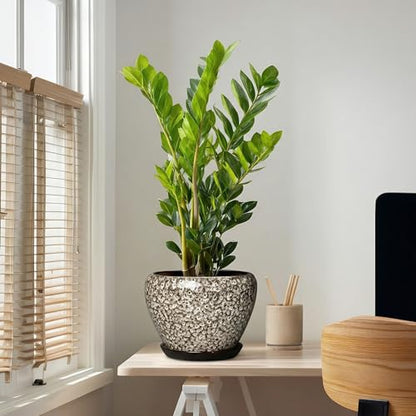 Ceramic Pots for Plants, 10 Inch Planters, White Leopard - color: White Leopard, size: 10 Inch