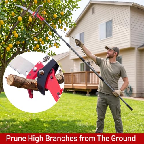 Suchtale 14FT Pole Tree Pruner for High Branch Trimming with Saw - size: 14FT