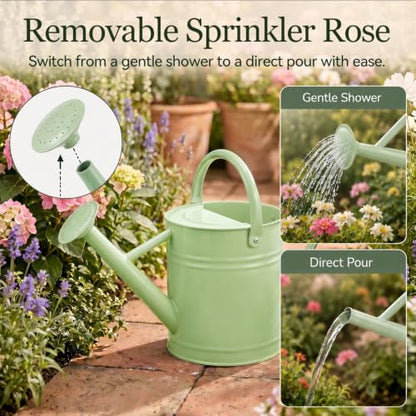 1 Gallon Metal Watering Can for Indoor Outdoor Plants, Pistachio Green - color: Pistachio Green