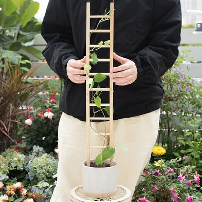 1Pcs Indoor Plant Trellis – Durable Wooden Support for Climbing Plants - size: 25" H