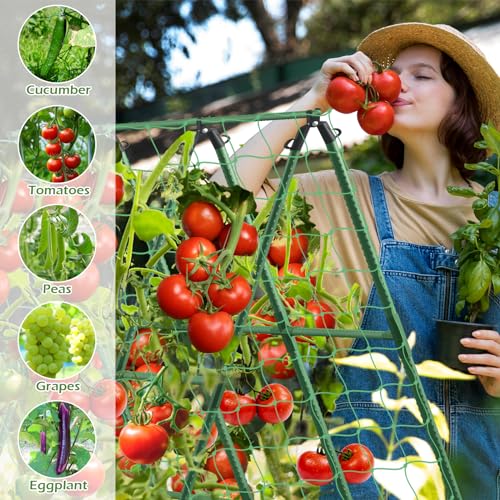 Cucumber Trellis for Raised Beds, 45 x 53 Inch Adjustable Size A-Frame Garden Trellis for Climbing Plant Outdoors with Climbing Net and Plant Support Clip for Vegetable Grape Tomato Bean Pea - size: 1pack 45 x 53 Inch