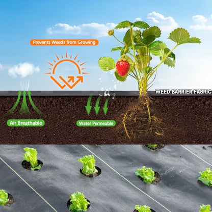 3x100FT Weed Barrier Landscape Fabric, 3.2oz Heavy Duty Garden Cloth, Ground Cover for Gardening, Come with 20 U-Shaped Securing Pegs - size: 3FTx100FT